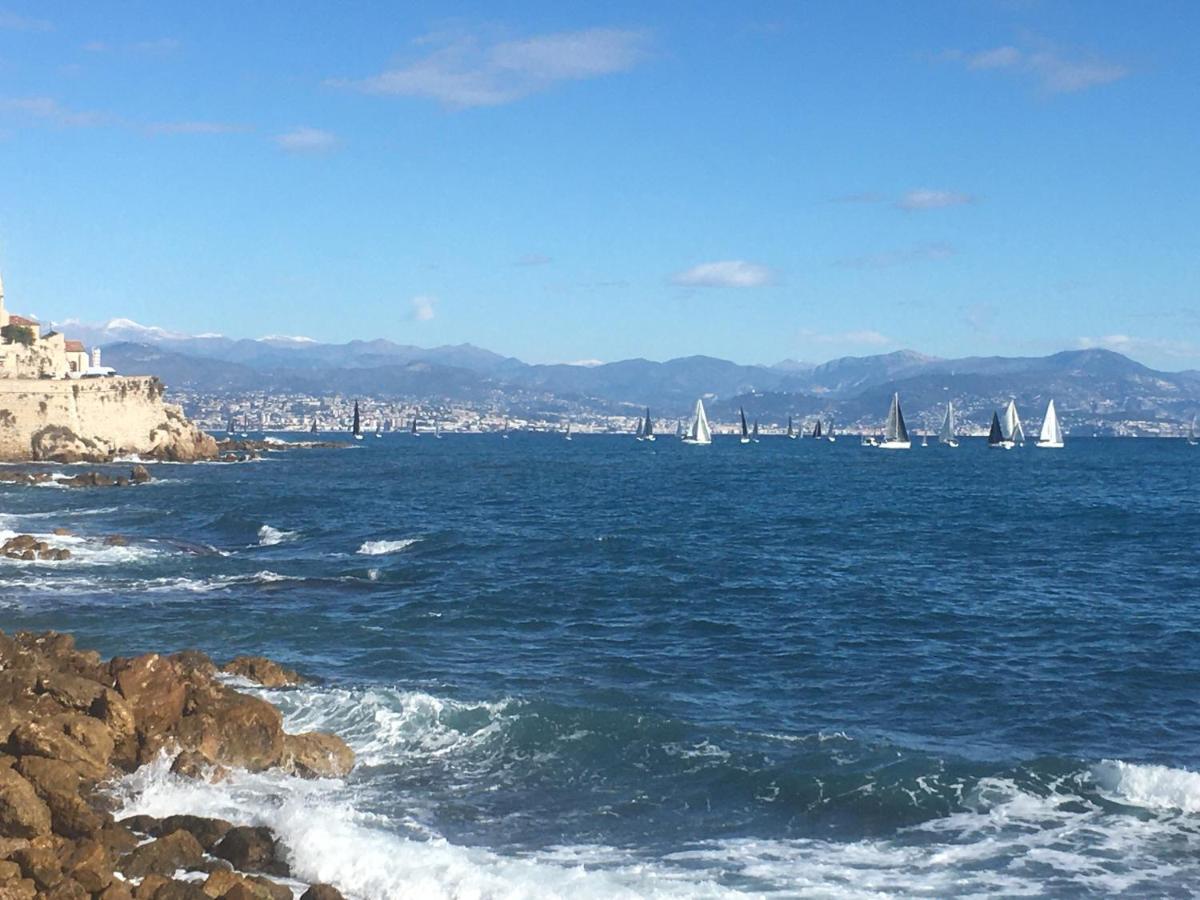 Tortue De Mer Antibes Exteriér fotografie
